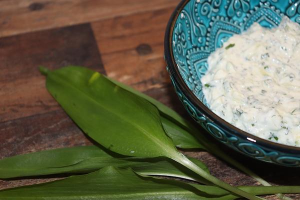 Tzatziki med ramslök och mynta
